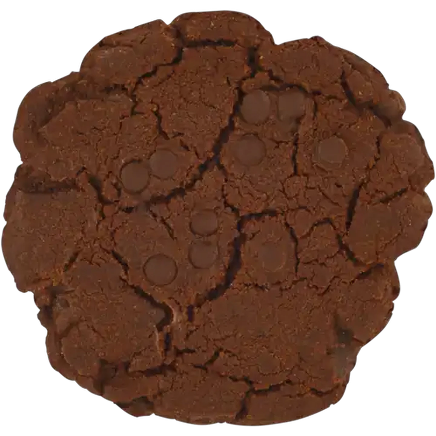 Image of Large Double Chocolate Cookie