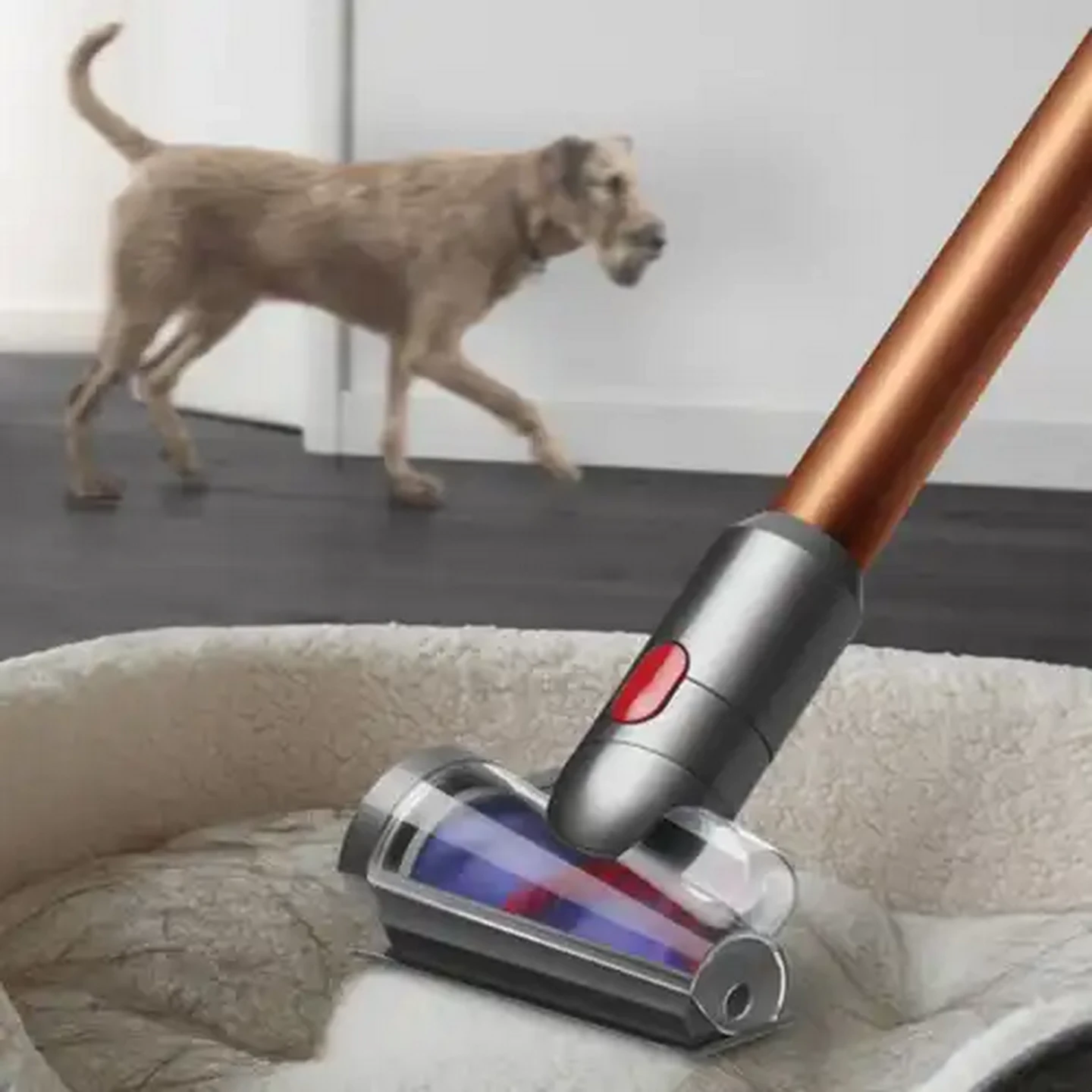 Image of Dyson V10 Absolute Cordless Vacuum Cleaner