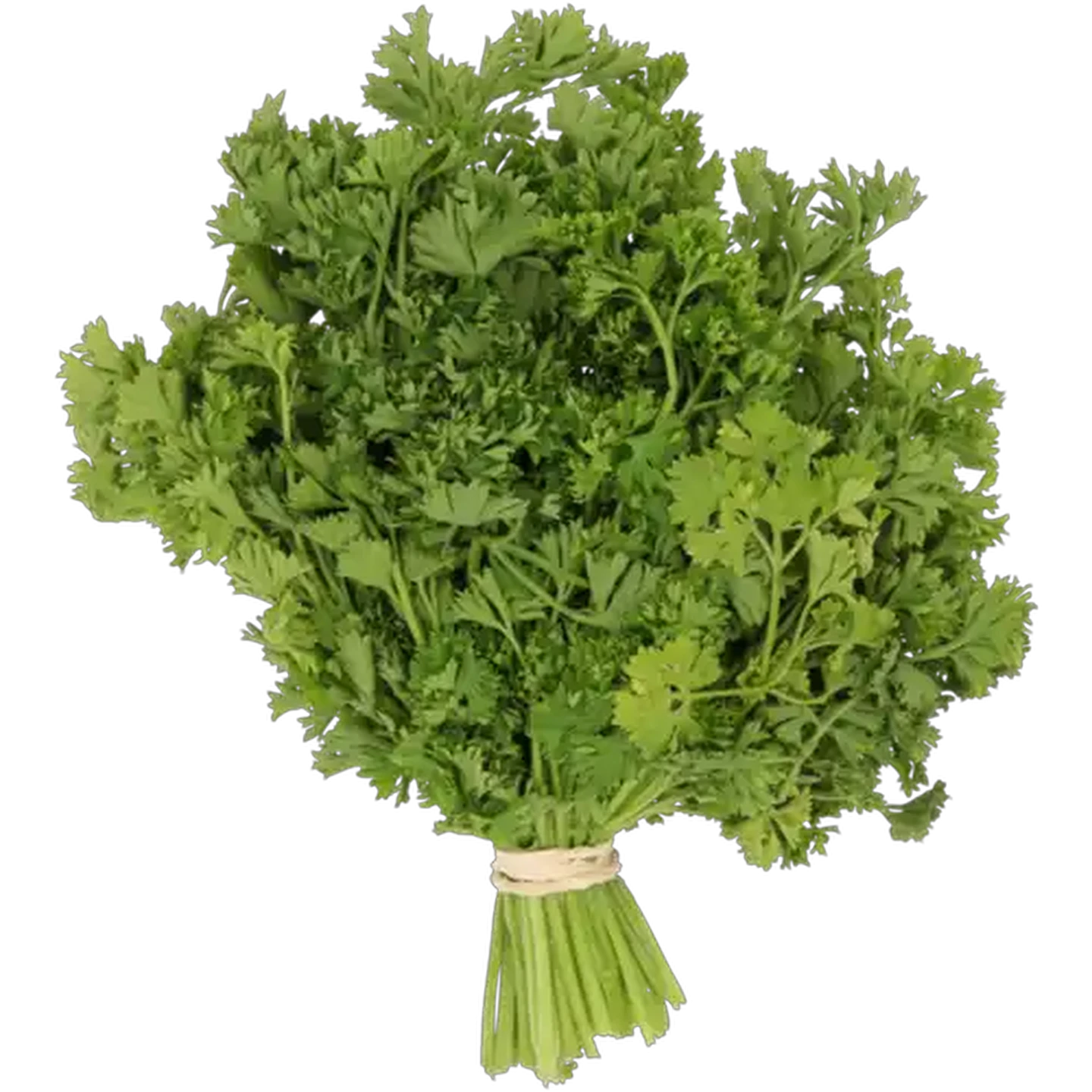 Image of Dhania Herbs Bunch 1s