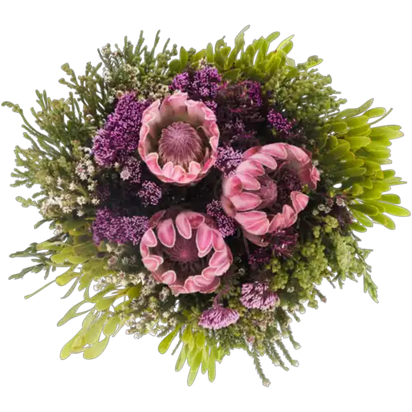 Image of Protea Compacta Flower Bouquet