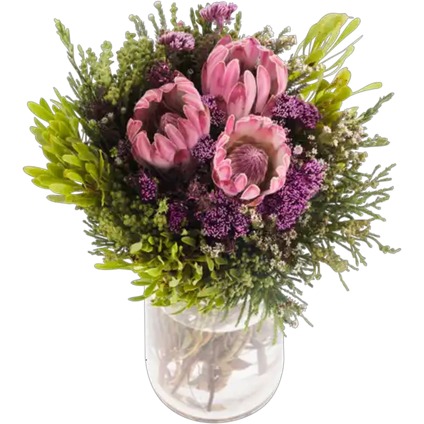 Image of Protea Compacta Flower Bouquet