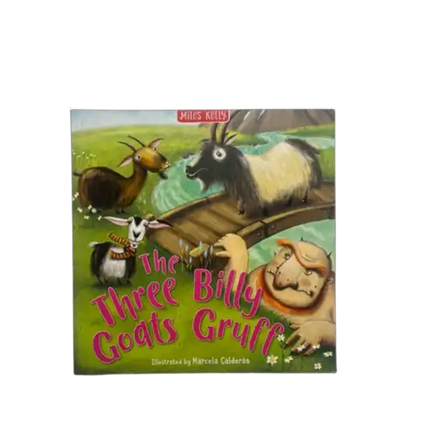 Image of Miles Kelly Flat Picture Book (Type May Vary)