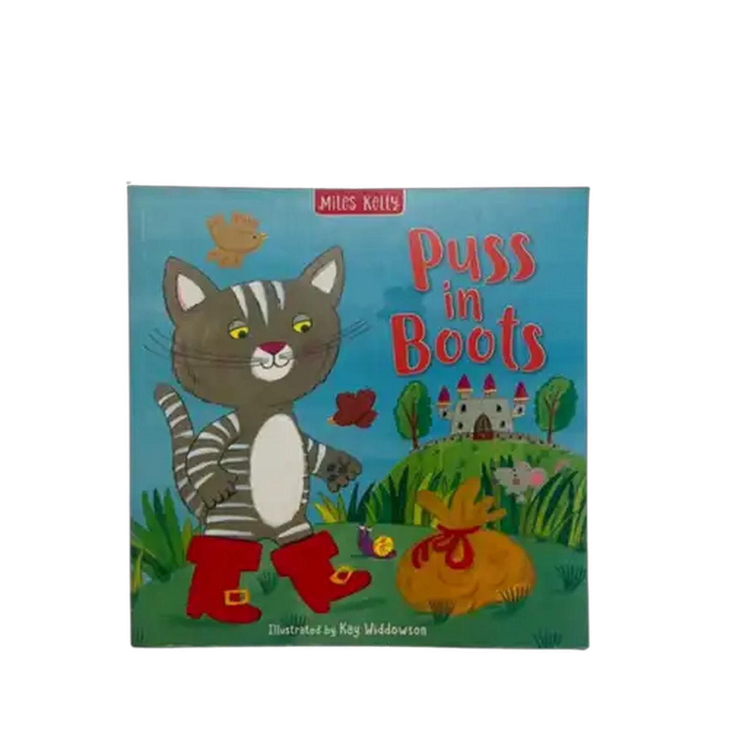 Image of Miles Kelly Flat Picture Book (Type May Vary)
