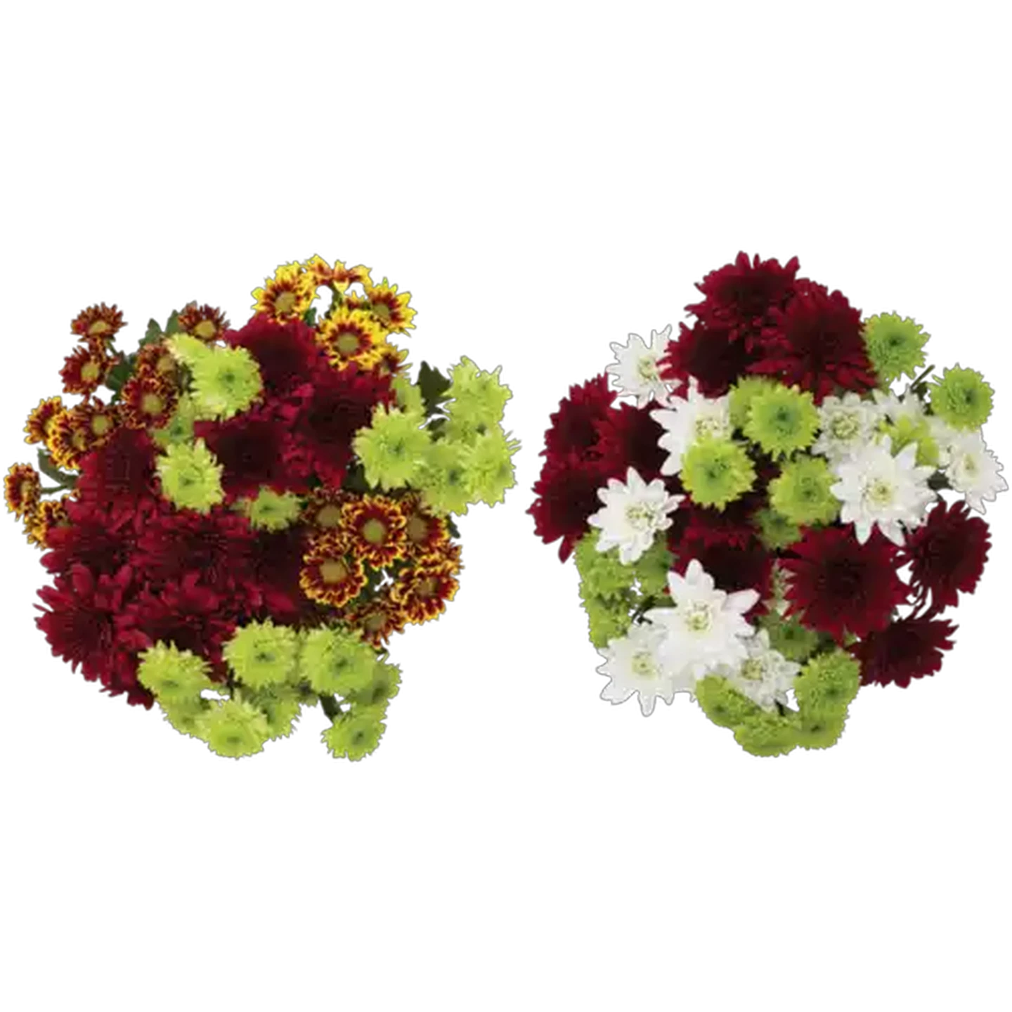 Image of Celebration Flower Bouquet