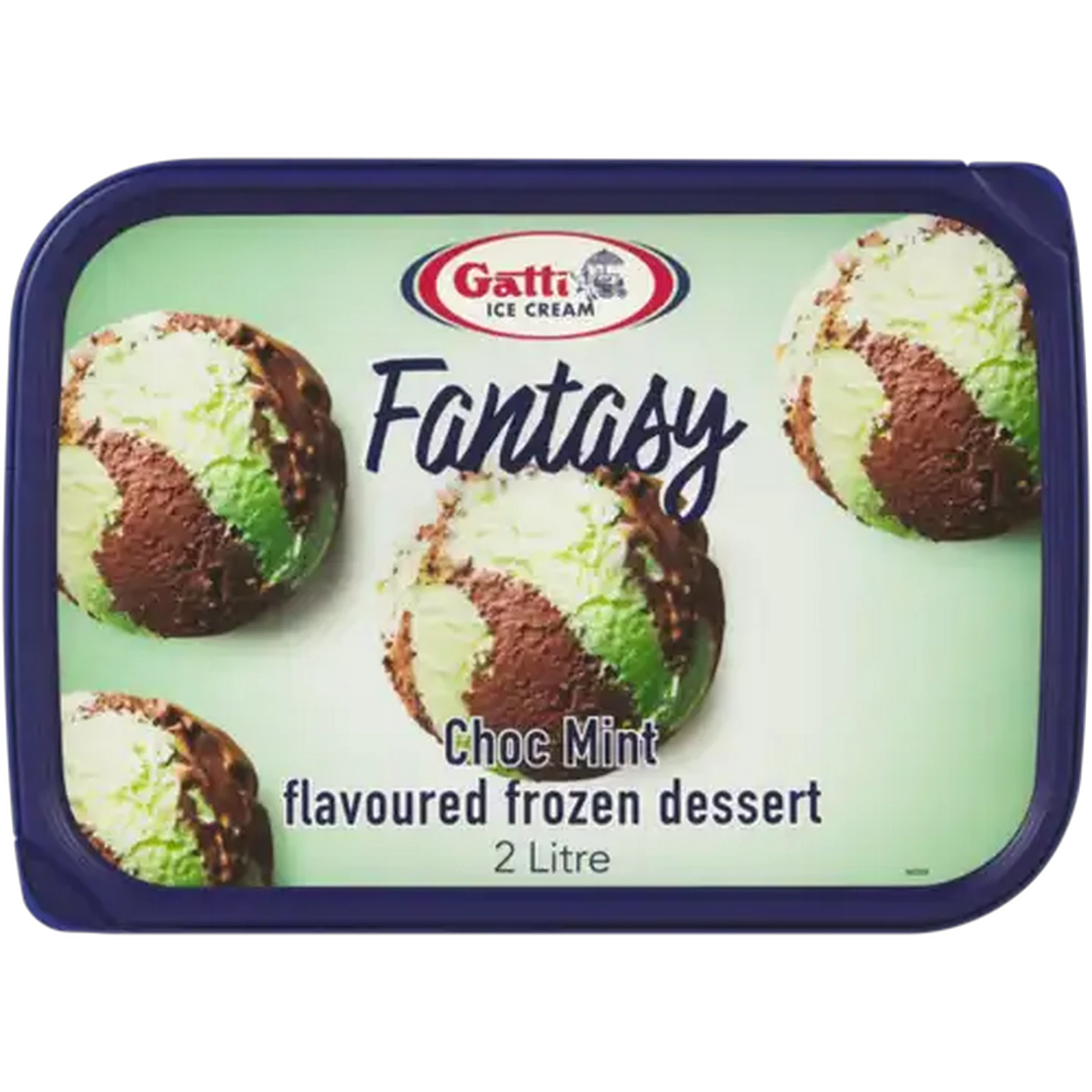 Checkers Sixty60 | Gatti Ice Cream Chocolate Mint Flavoured Ice