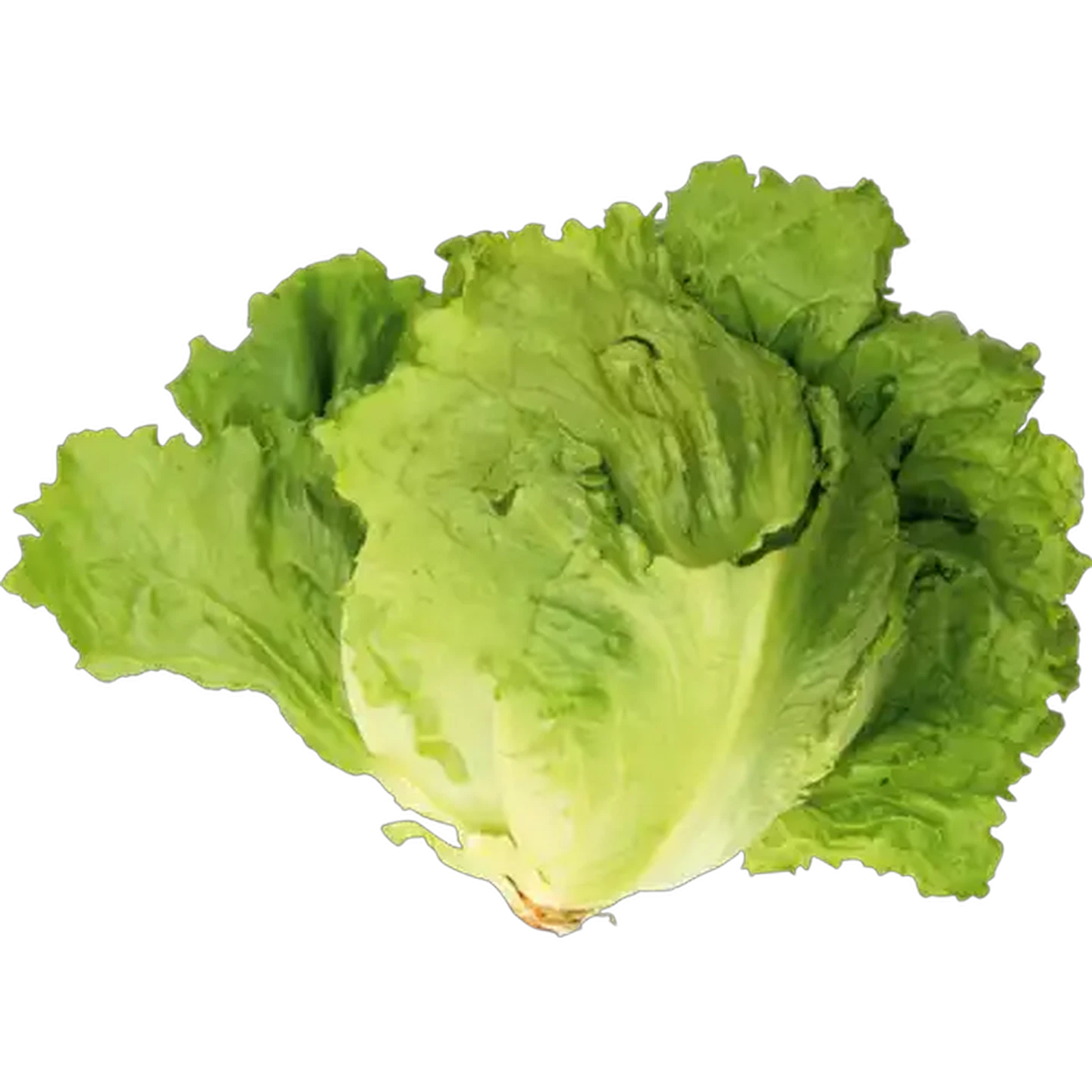 Image of Unwrapped Lettuce