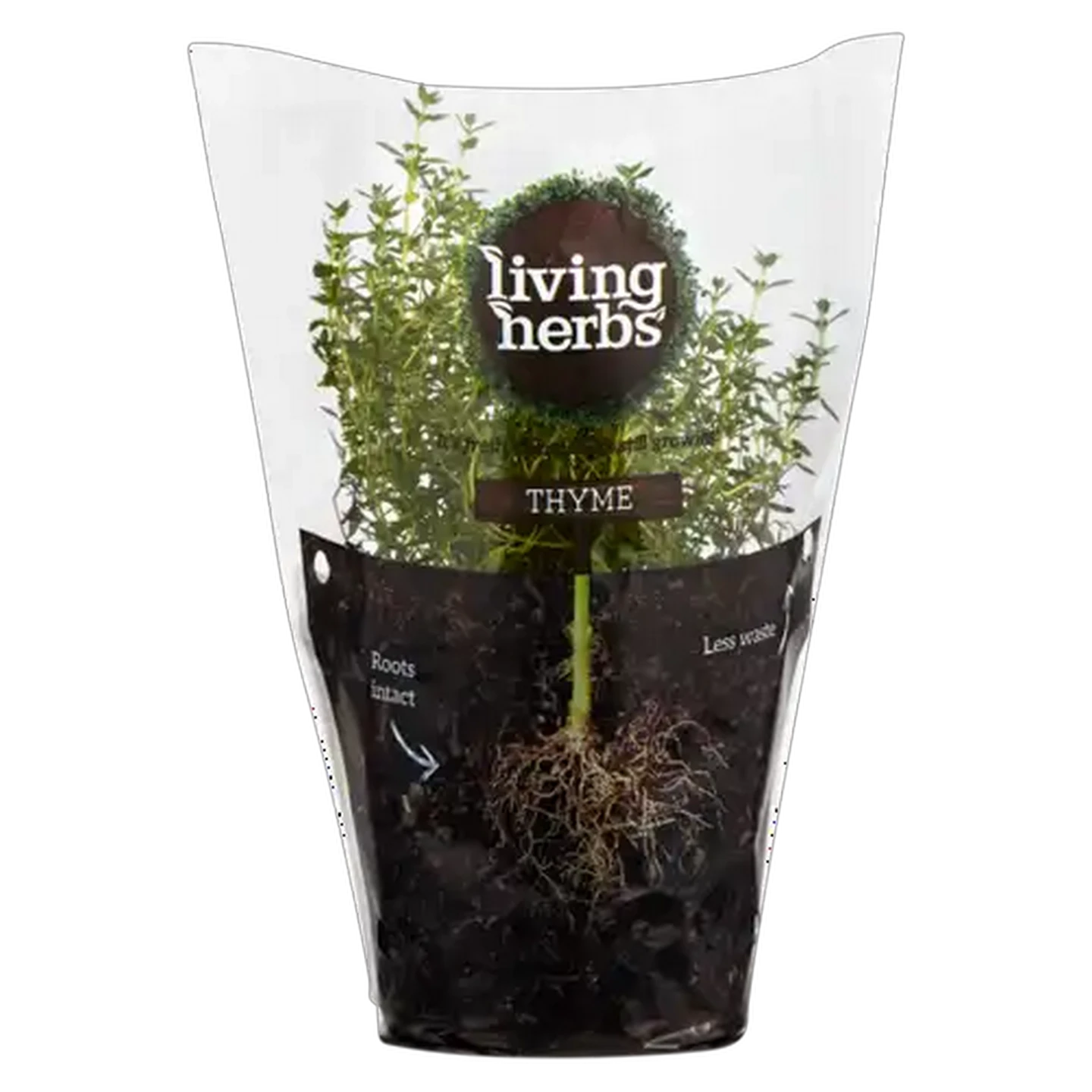 Image of Living Herbs Thyme
