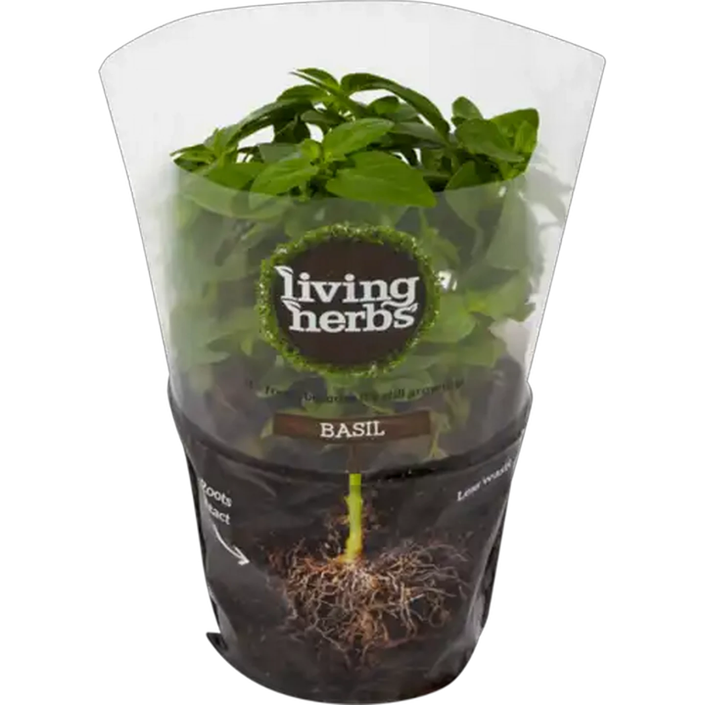 Image of Living Herbs Basil
