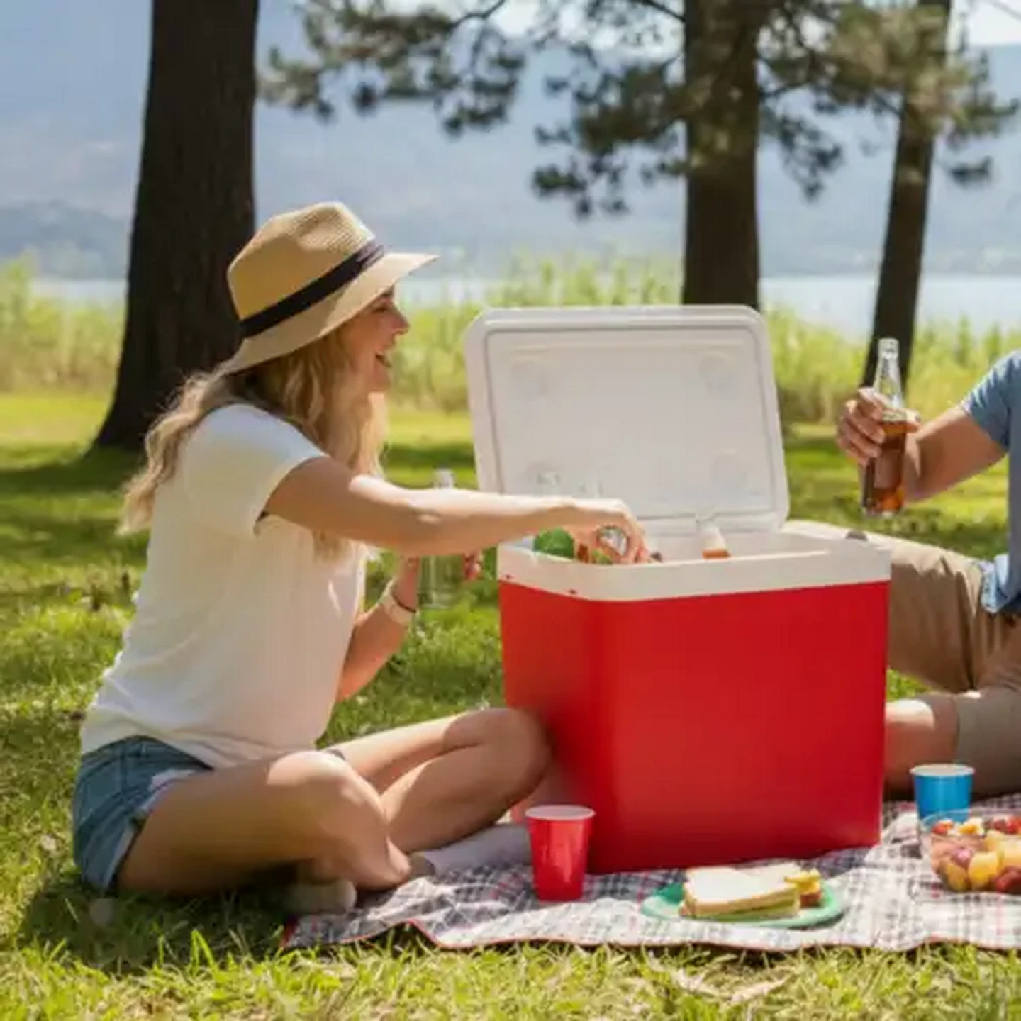 Image of ADDIS Cool Cat Red Cooler Box 26L