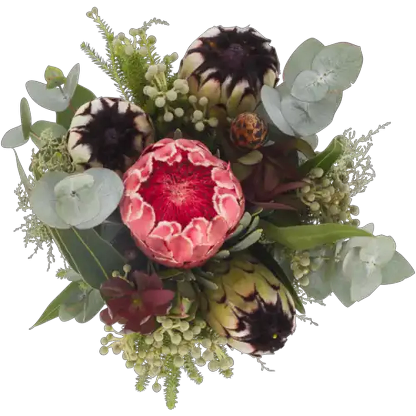 Image of Festive Fynbos Flowers