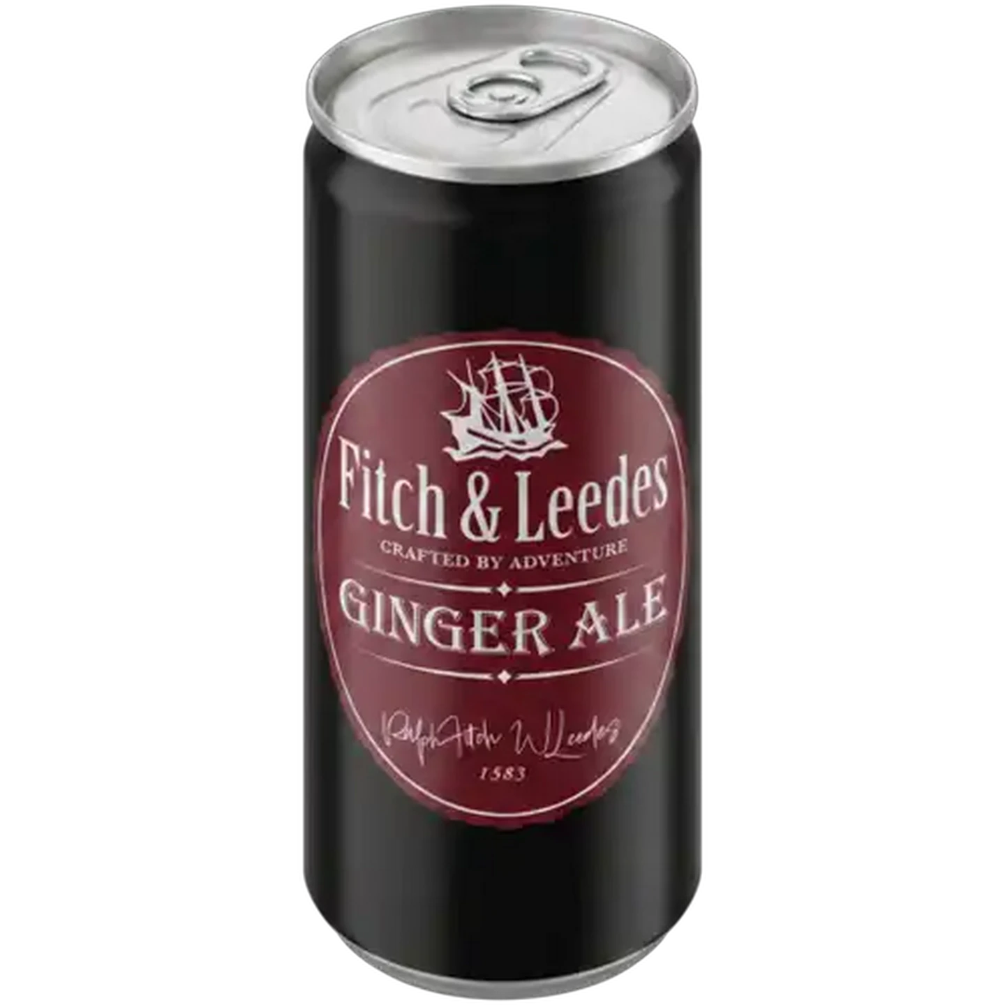 Image of Fitch & Leedes Ginger Ale Sparkling Drink 200ml