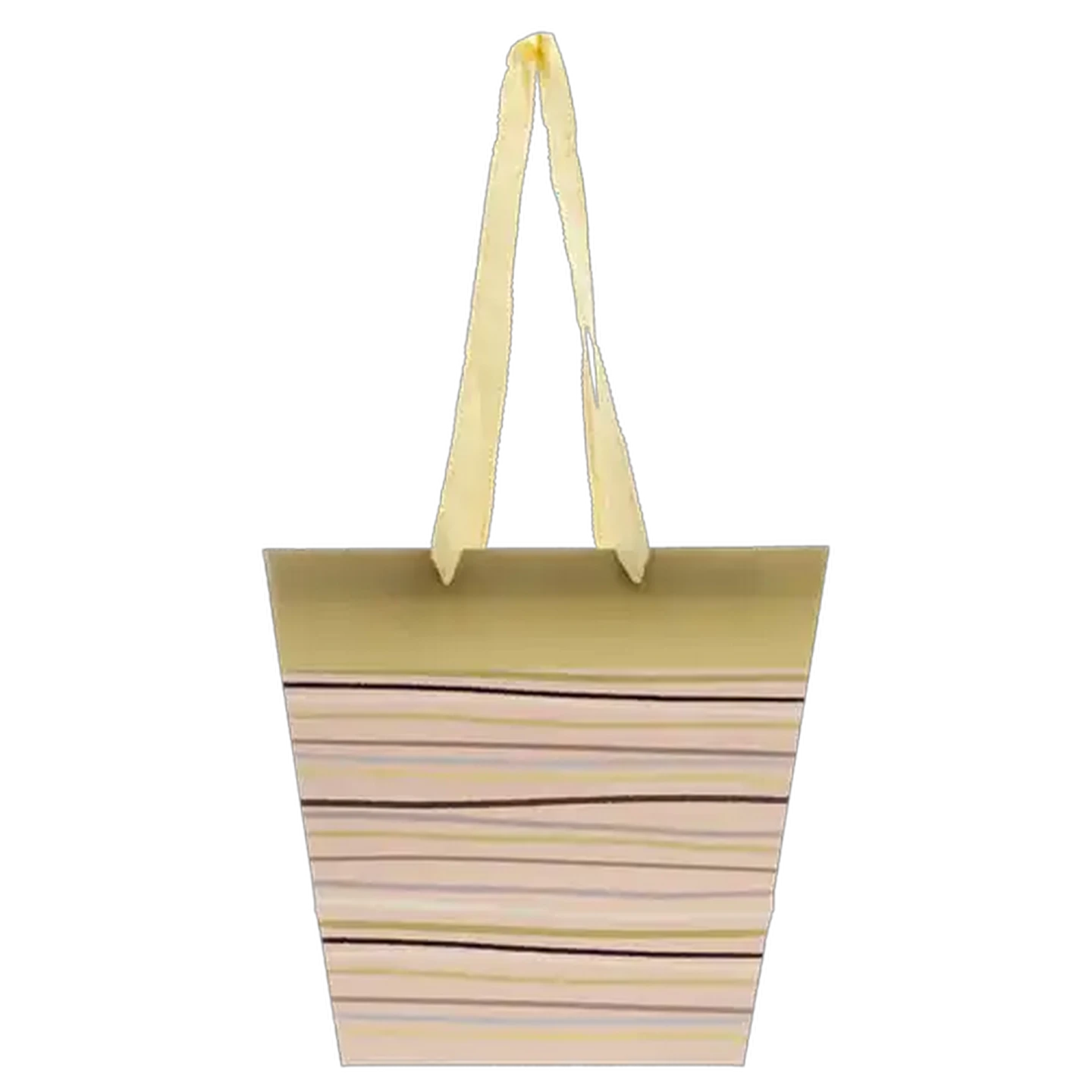 Image of Floral Pot Plant Gift Bag