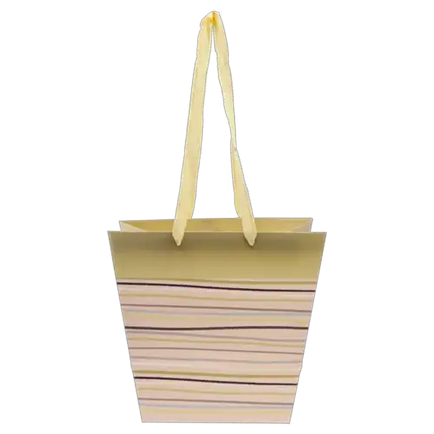 Image of Floral Pot Plant Gift Bag