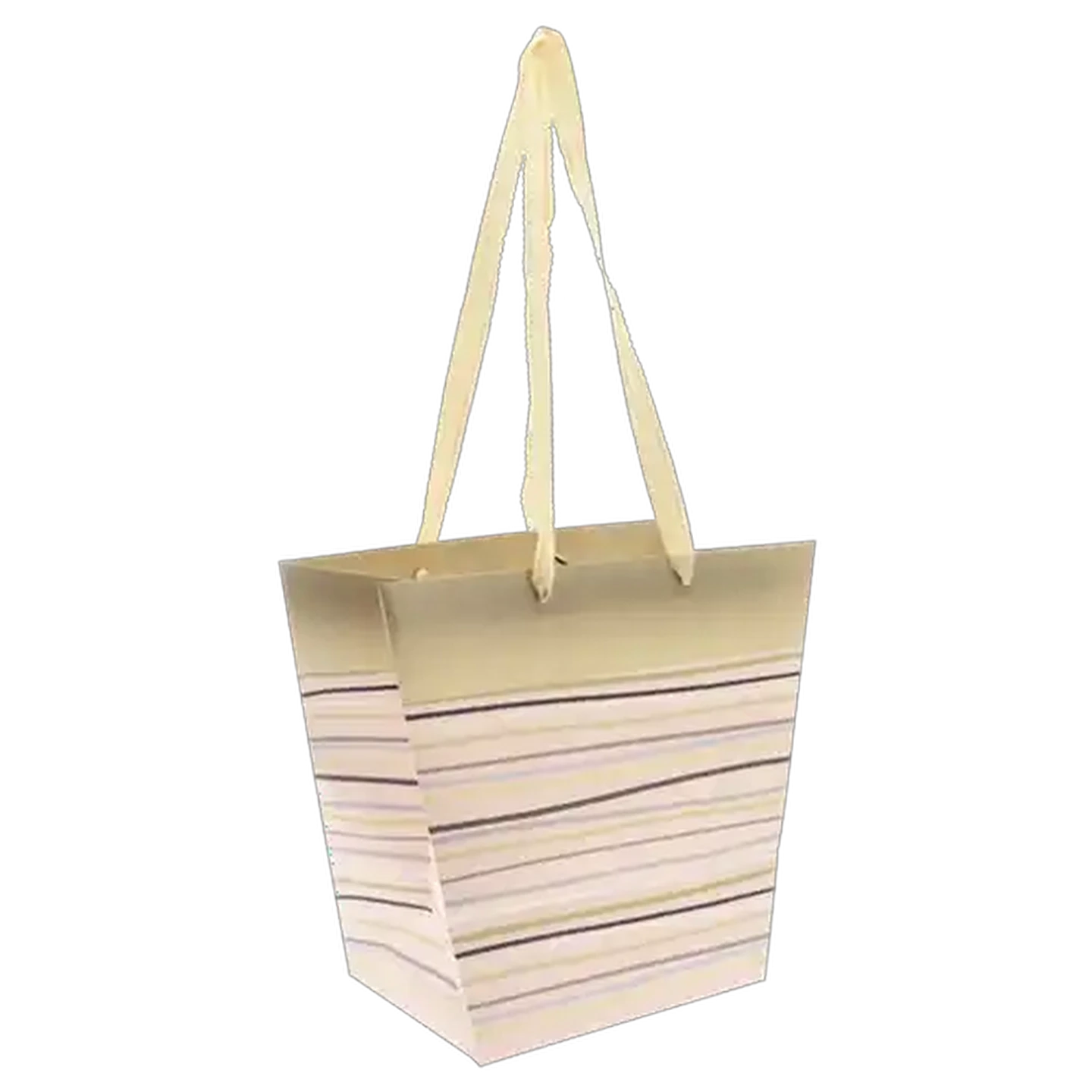 Image of Floral Pot Plant Gift Bag