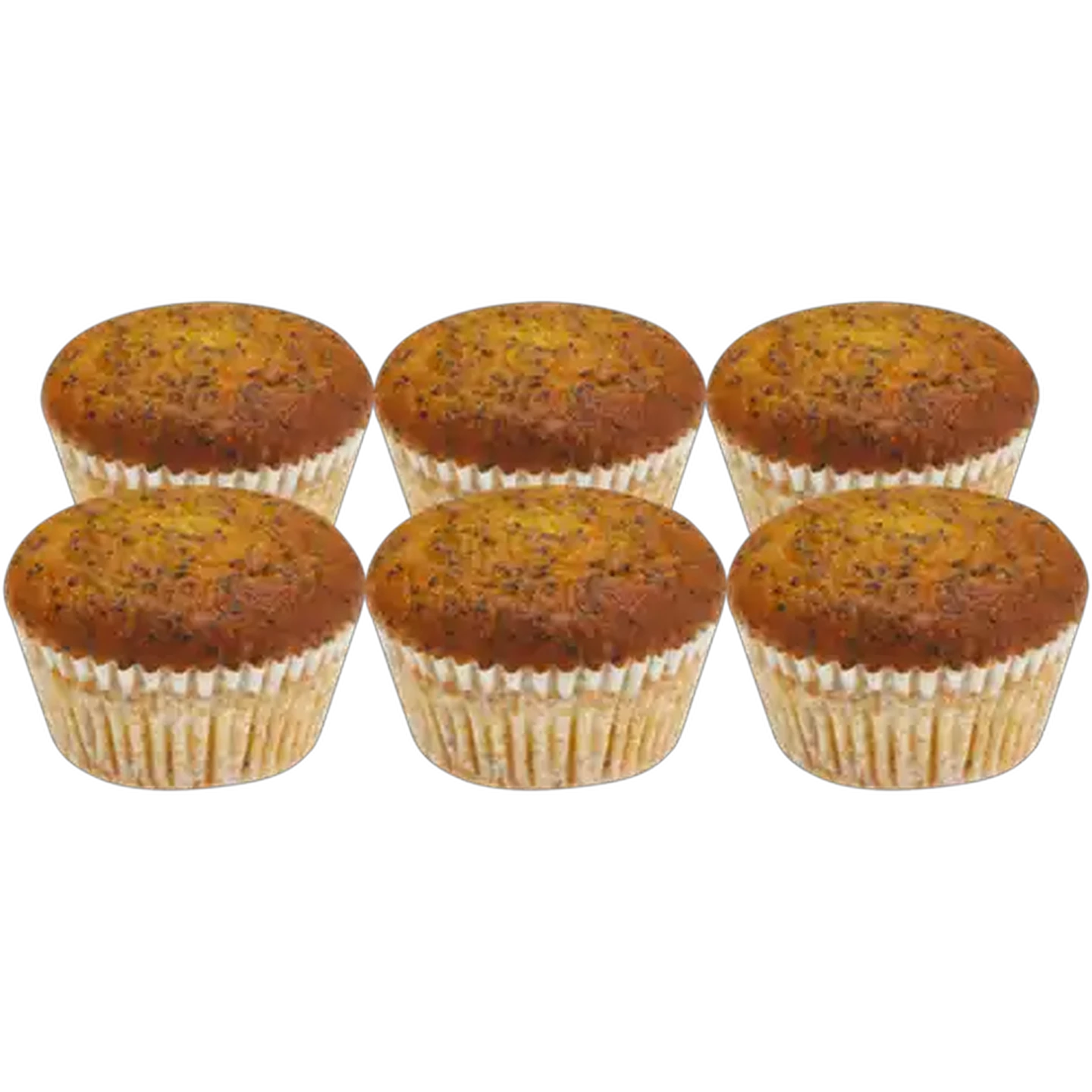 Image of Lemon Poppy Seed Muffin 6 Pack