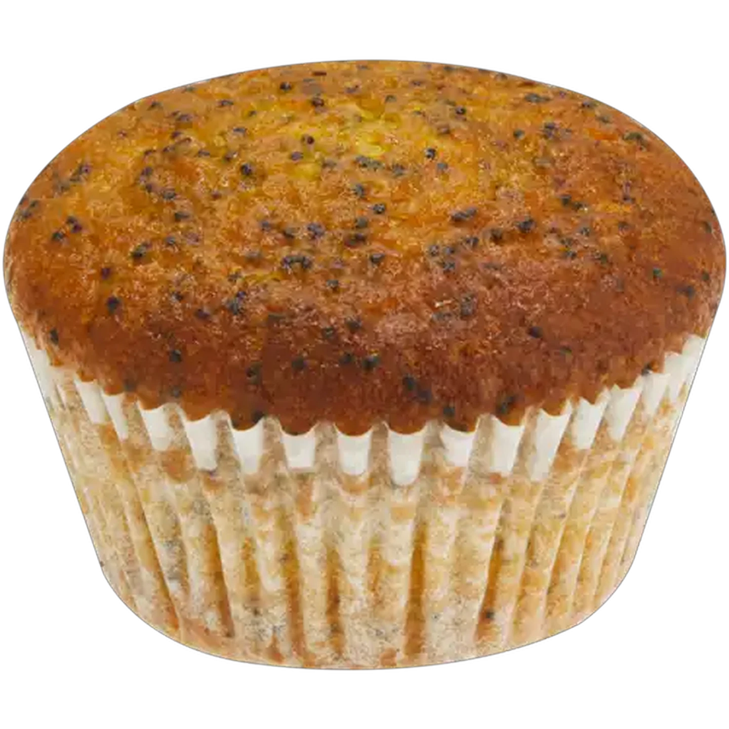 Image of Lemon & Poppy Seed Muffin
