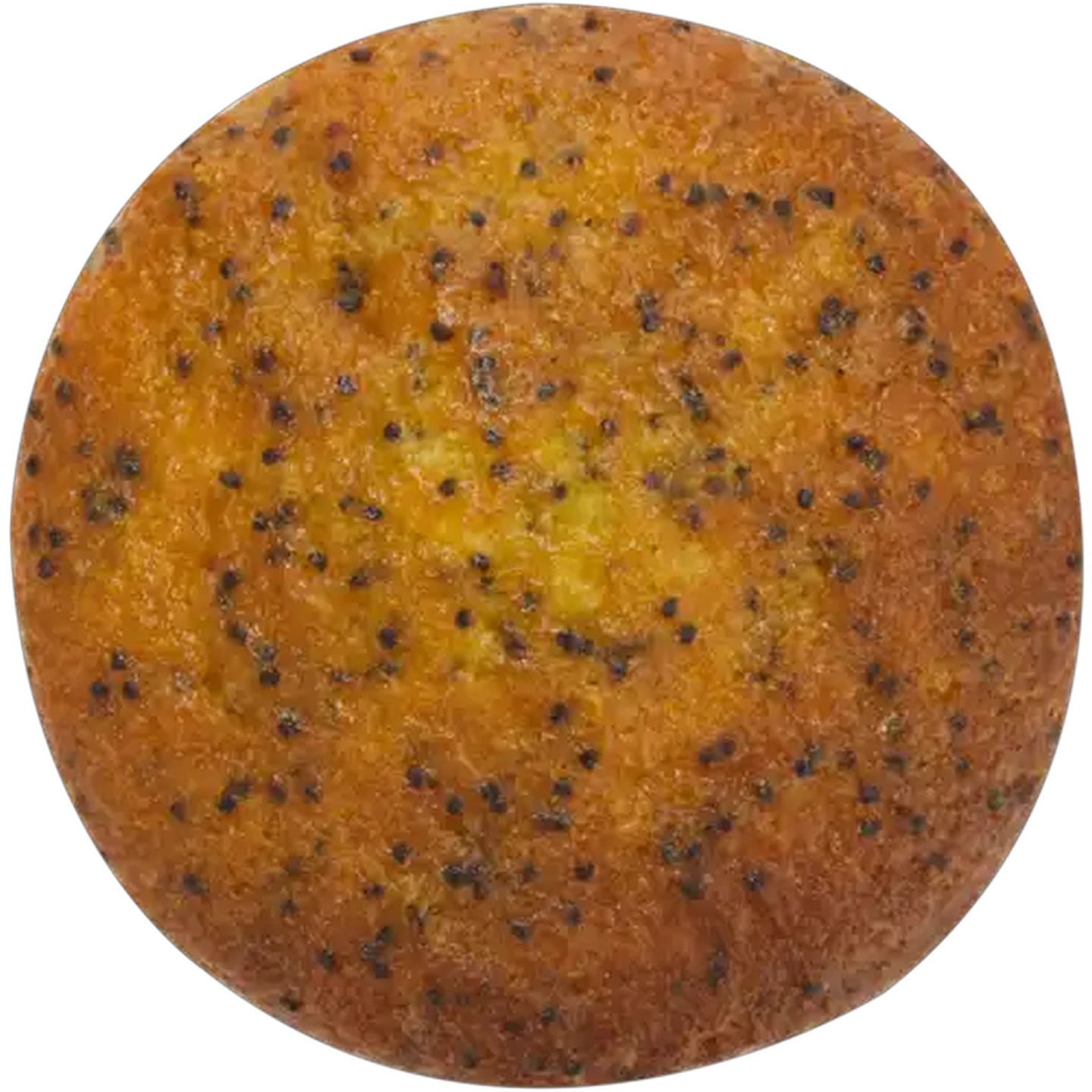 Image of Lemon & Poppy Seed Muffin