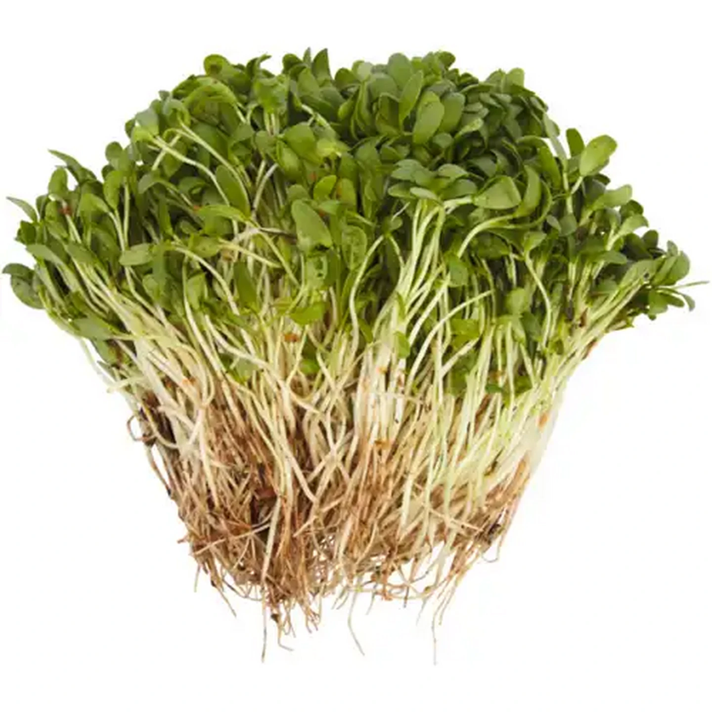 Image of Methi Bunch