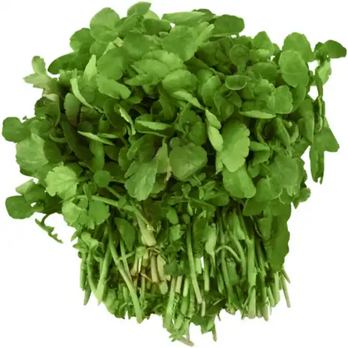 Image of Watercress Bunch