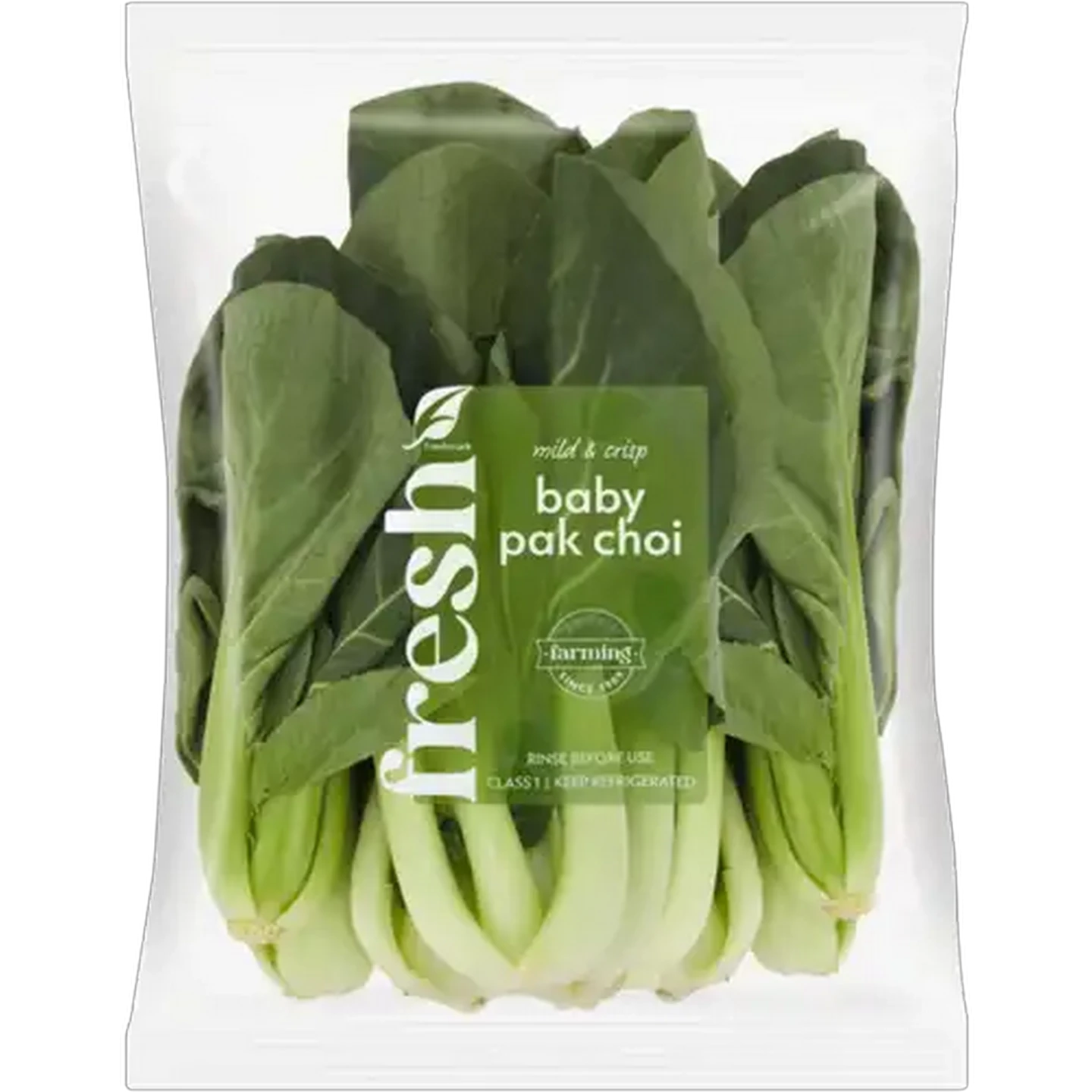 Image of Baby Pak Choi