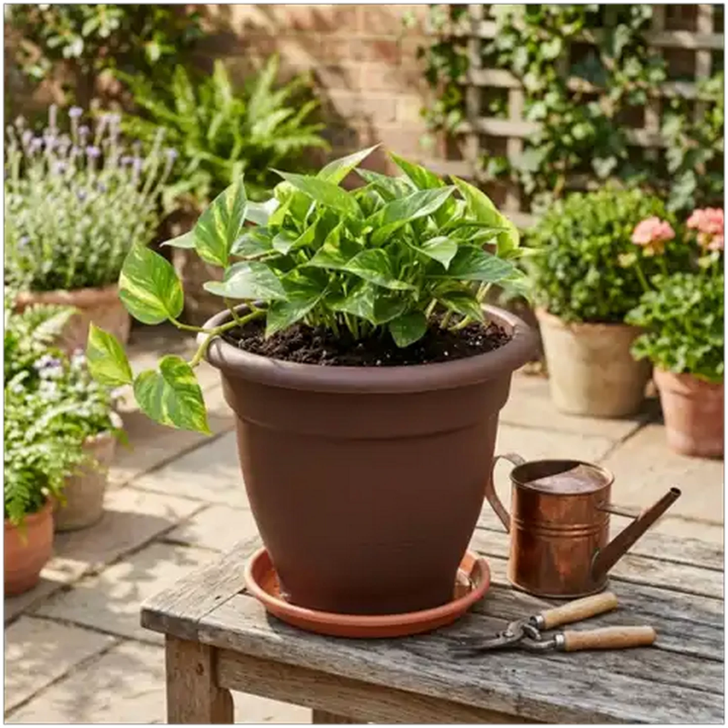 Shoprite ZA | ADDIS Chocolate Brown Venus Plant Pot 36cm