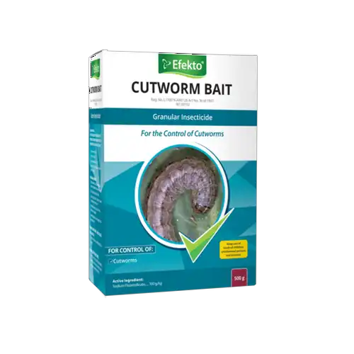 Thumbnail product image - 1