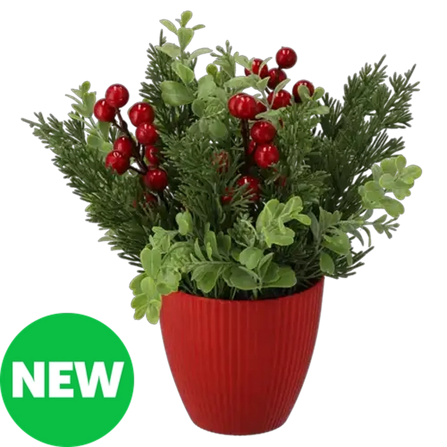 Image of Santa's Choice Red Potted Tabletop Berry & Pine Festive Floral Arrangement
