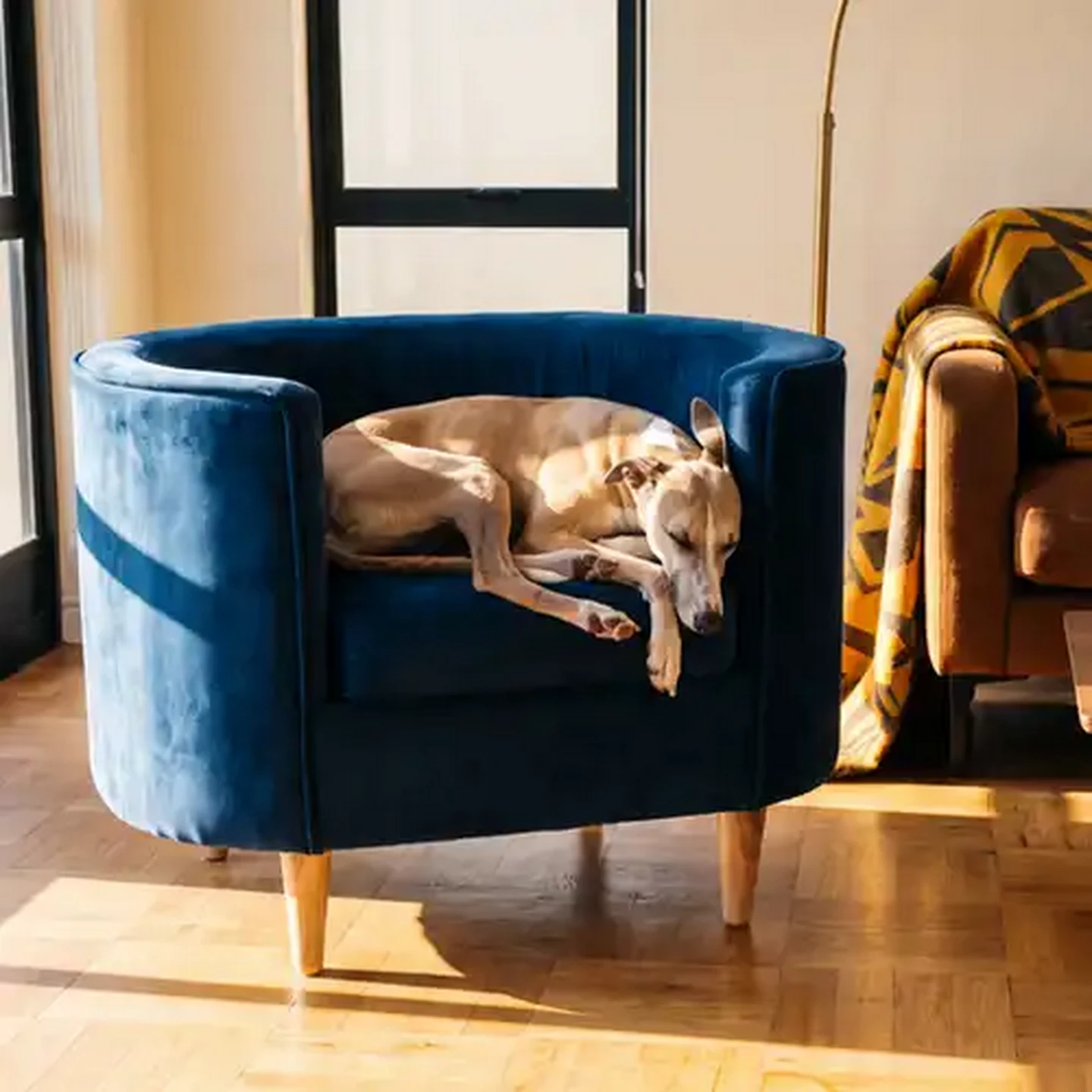 Image of FoldaPET Navy/Teal Pet Sofa