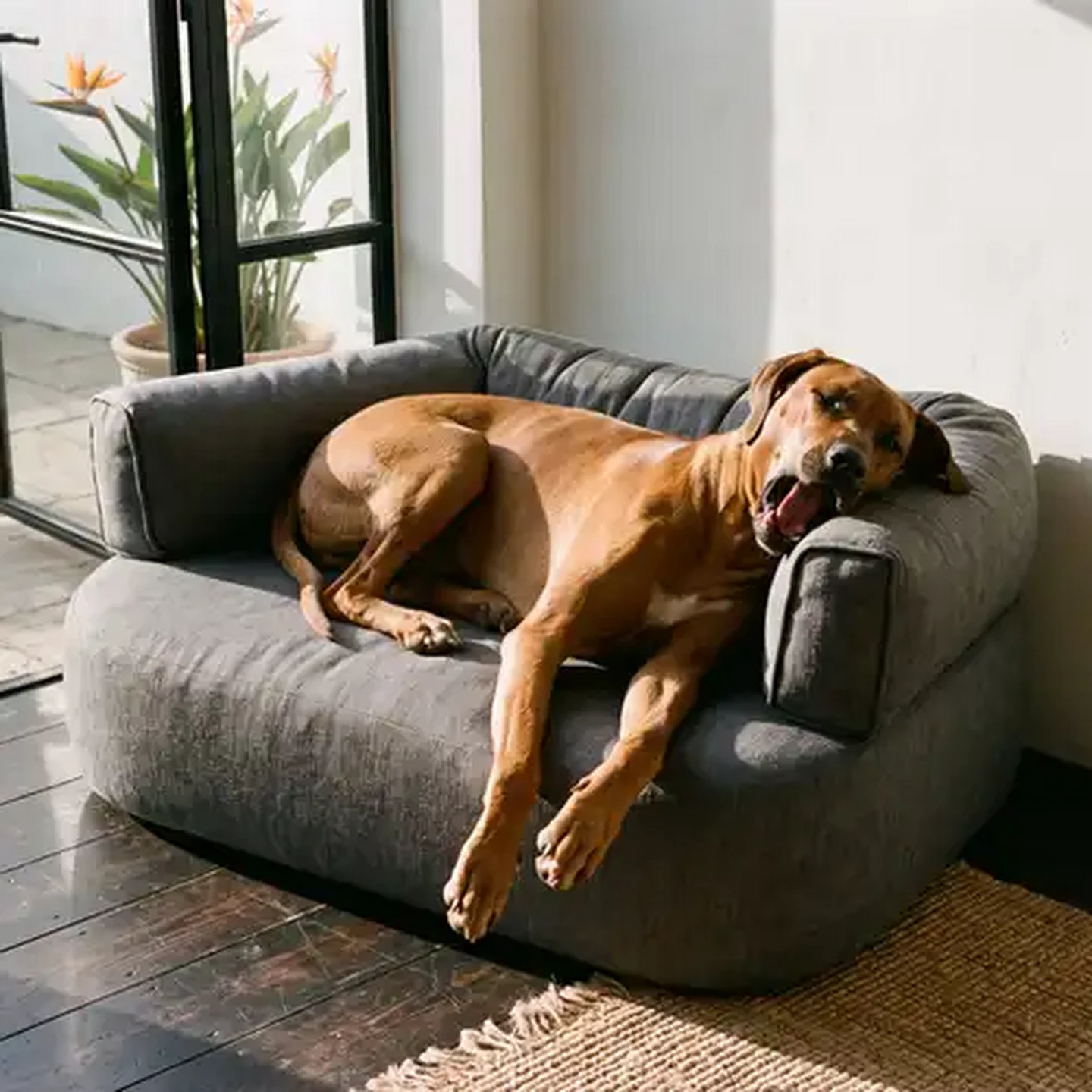 Image of FoldaPET Cool Grey Pet Sofa