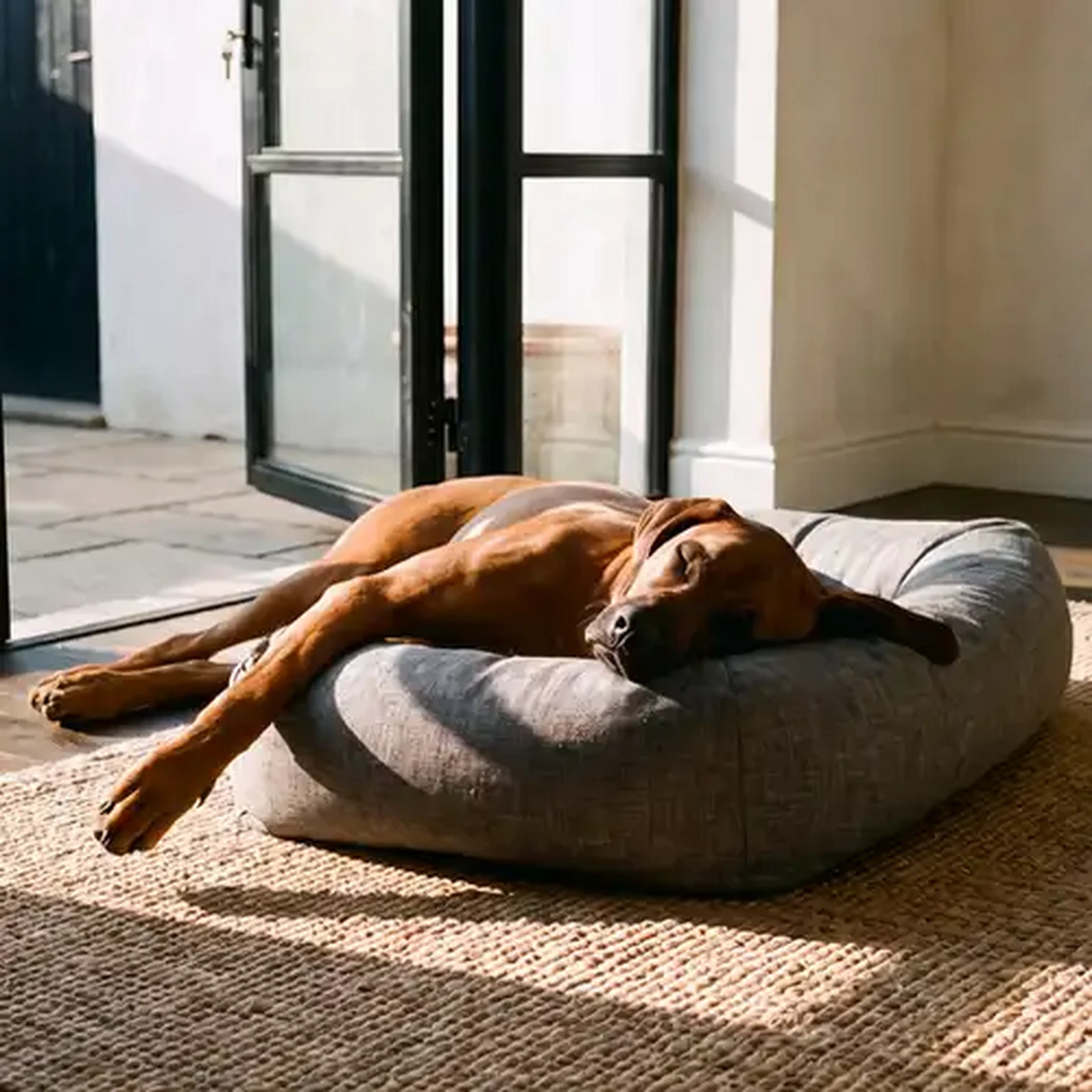 Image of FoldaPET Cool Grey Pet Sofa