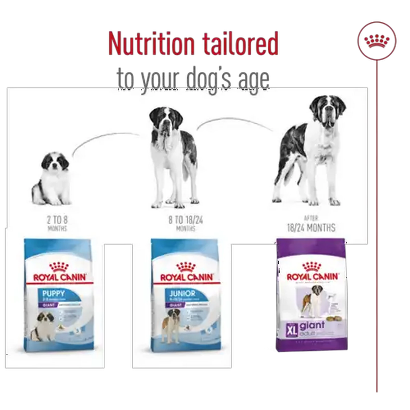 Checkers Sixty60 | ROYAL CANIN® Giant Adult Dog Dry Food 15kg