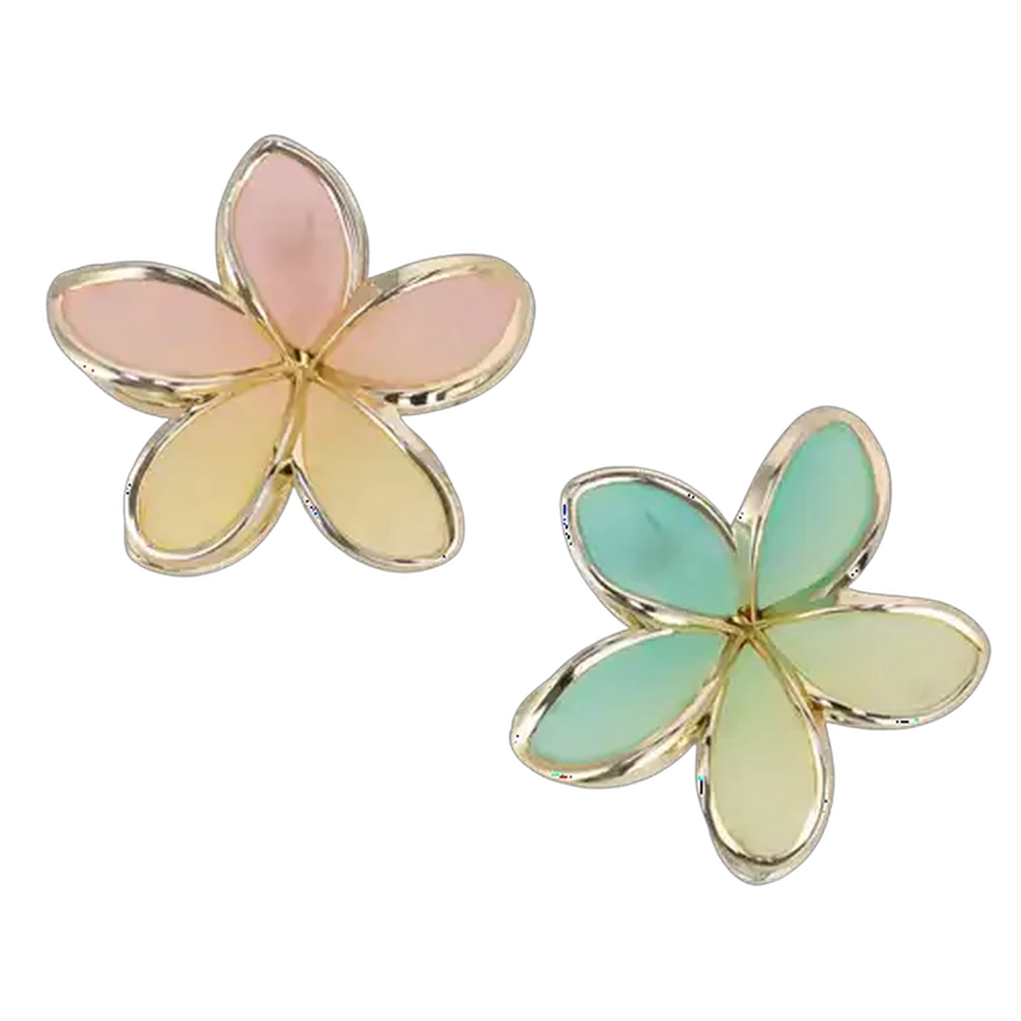 Image of Pretty Woman Bold Nature Law Flower Claw (Colour May Vary)