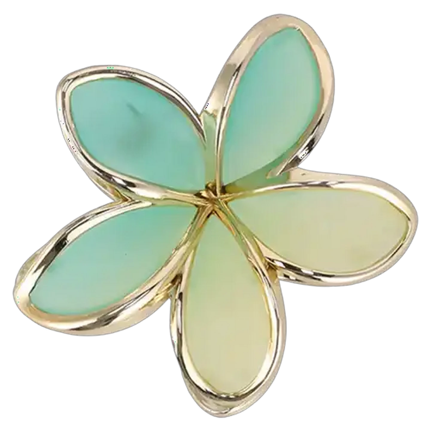 Image of Pretty Woman Bold Nature Law Flower Claw (Colour May Vary)