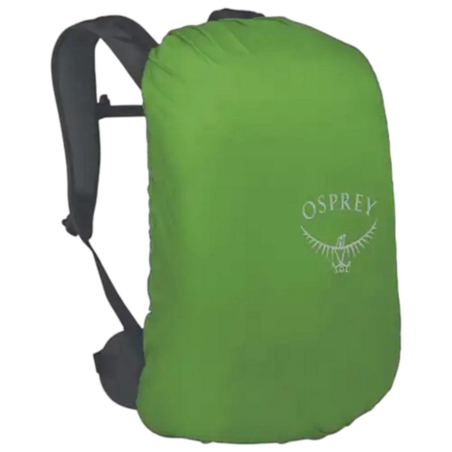 Image of Osprey Hikelite Black Hiking Backpack 26L