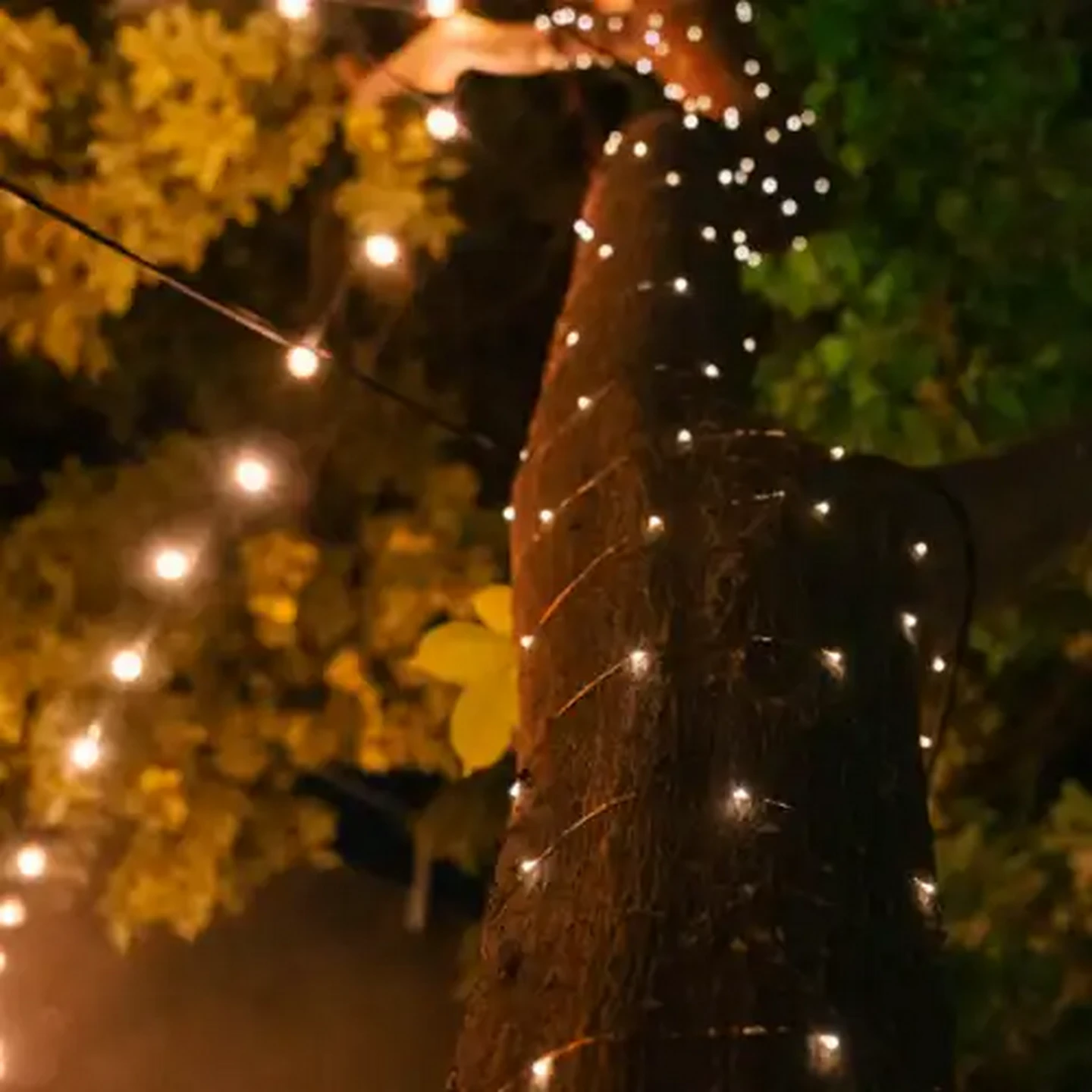 Image of Litehouse LED Solar Fairy Lights 20m