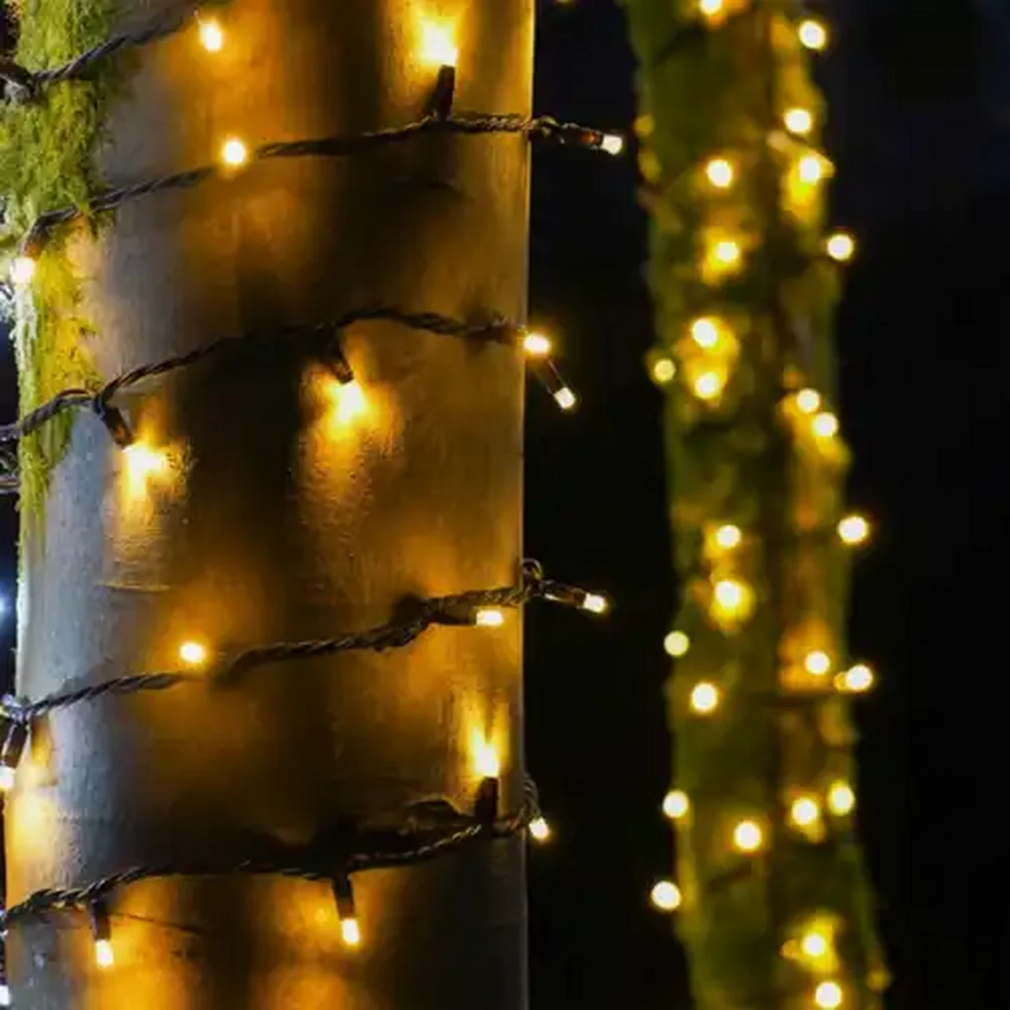 Image of Litehouse Outdoor Fairy Lights 10m