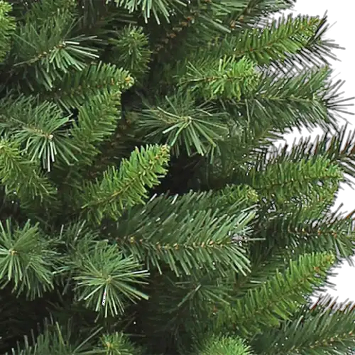 Image of Forest Pine No.79 Christmas Tree 2.1m