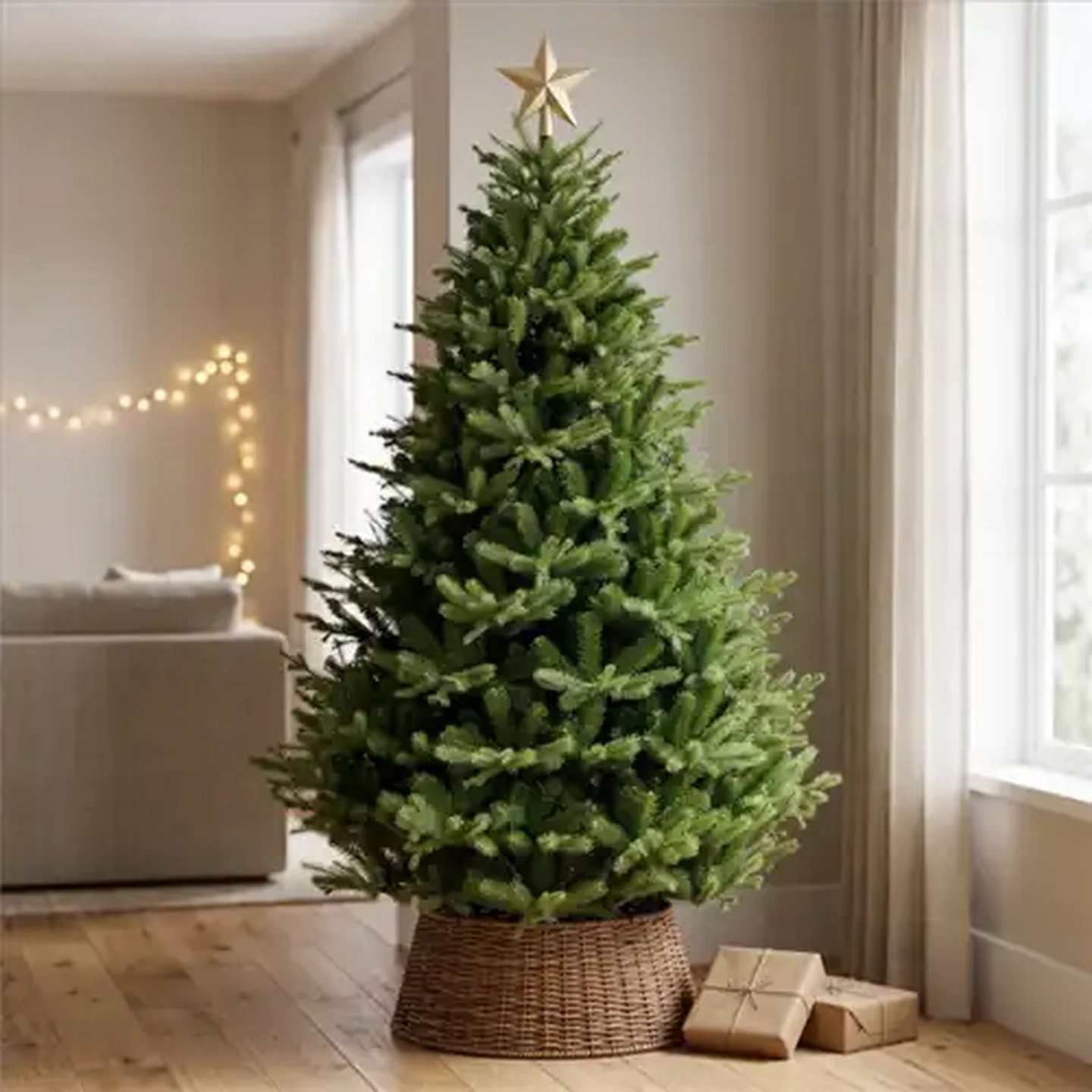 Image of Douglas No.76 Coastal Christmas Tree 2.1m