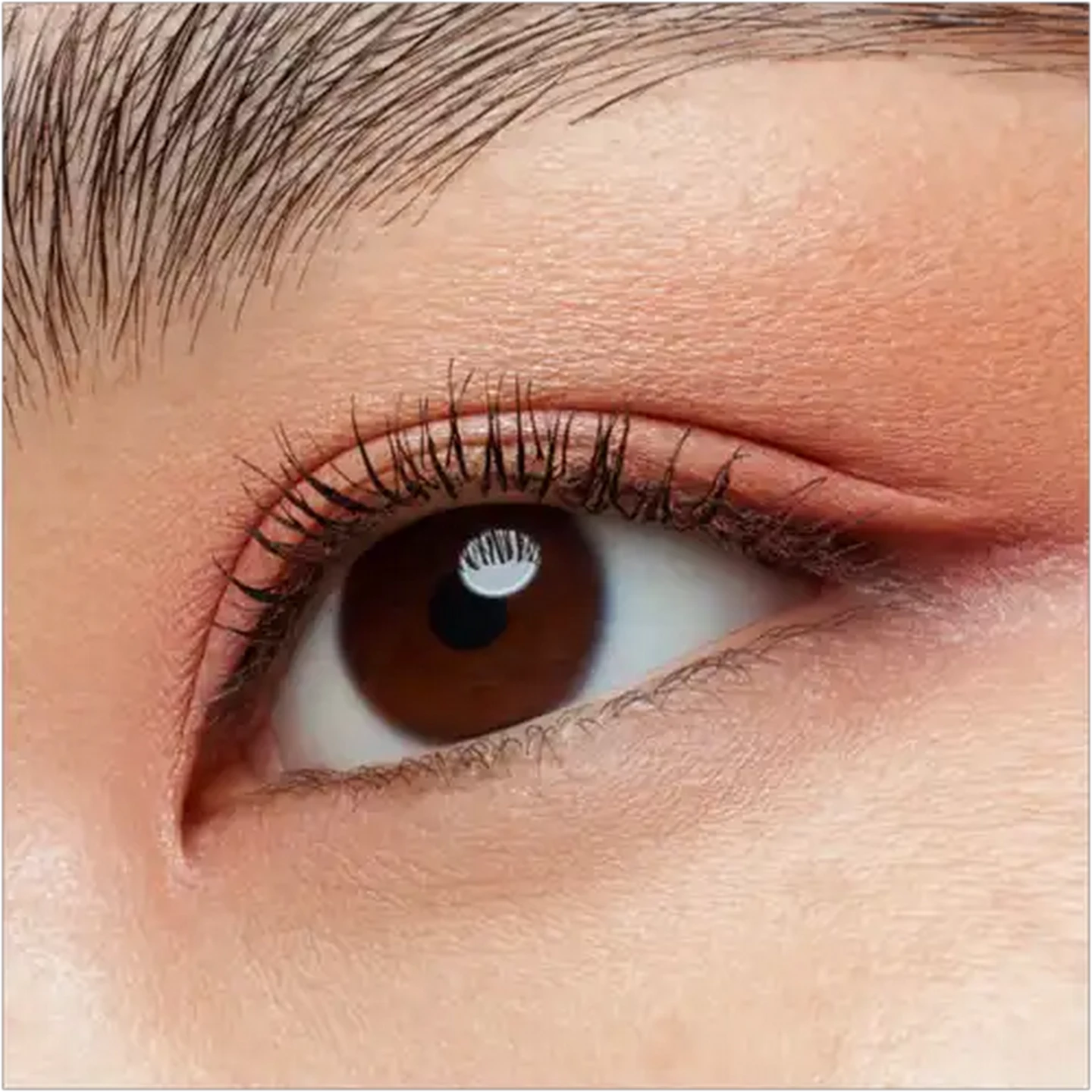 Image of essence Alcohol Free The Rose Edition Mini Eyeshadow Palette 3.6g 