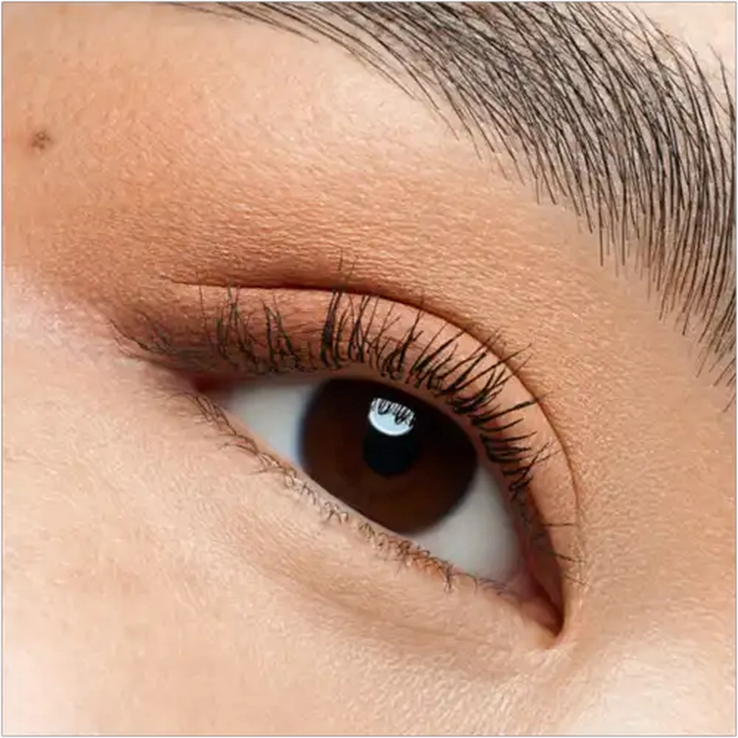 Image of essence Alcohol Free The Peach Edition Mini Eyeshadow Palette 3.6g 