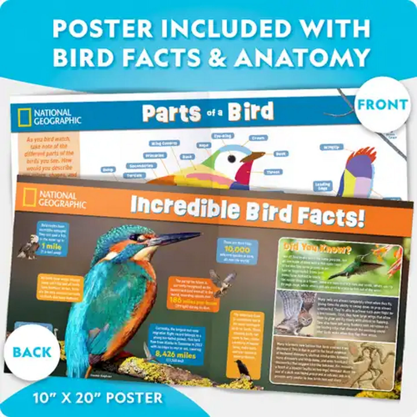 Image of National Geographic Build Your Own Bird Feeder Kit